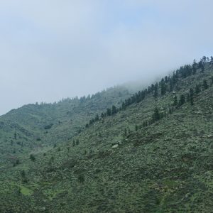 ‘Mountain Fog’ 4x6 Print