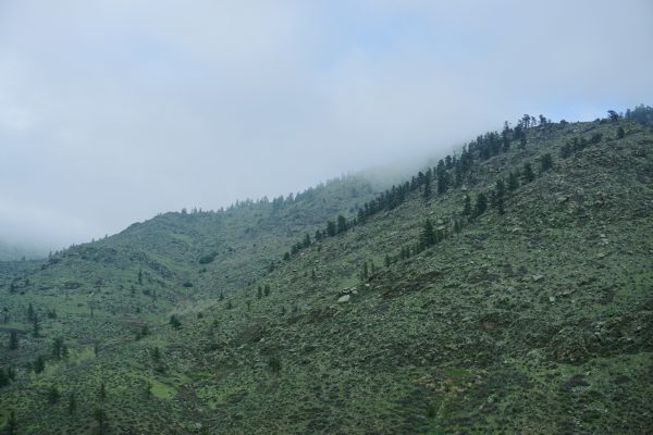 ‘Mountain Fog’ 4x6 Print