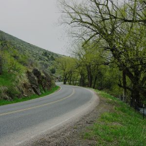 ‘Winding Road’ 4x6 Print