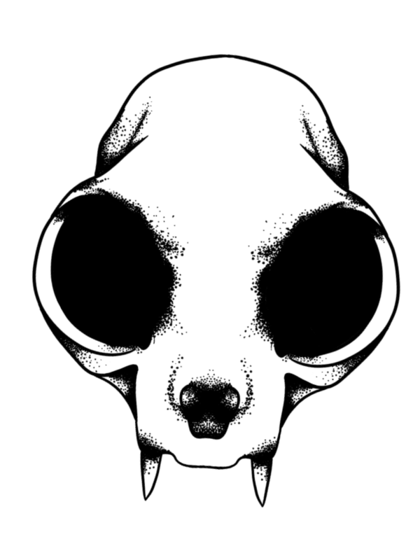 'Bat Skull' Vinyl Sticker - Image 4