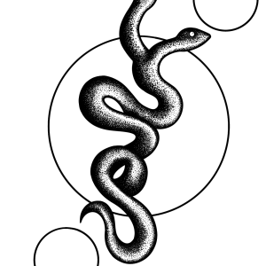 'Obsidian' Snake 4x6 Print