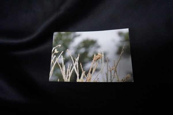 ‘Winter’ 4x6 Print - Image 2